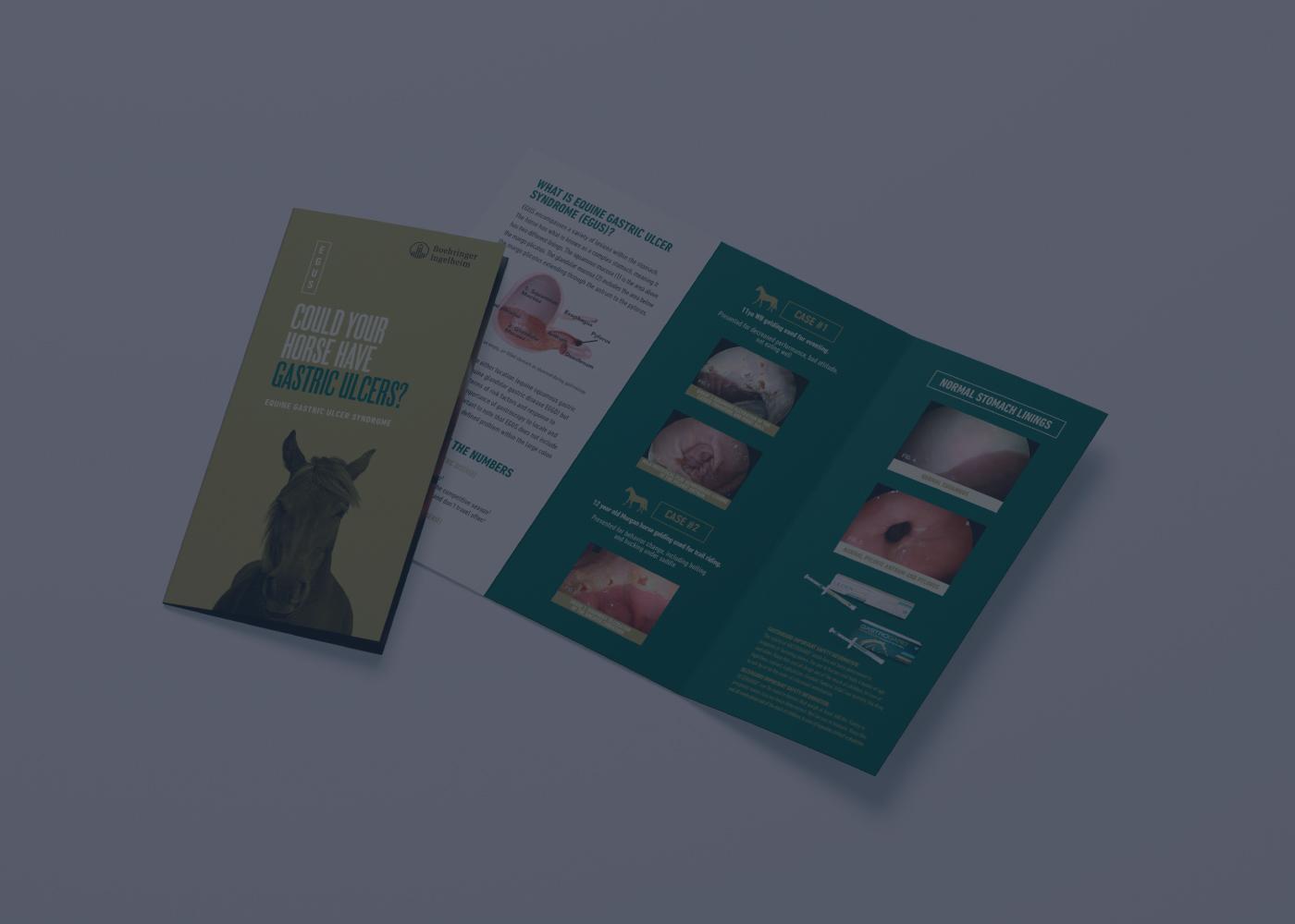 Pre Diagnosis Tri Fold Brochure w gradient