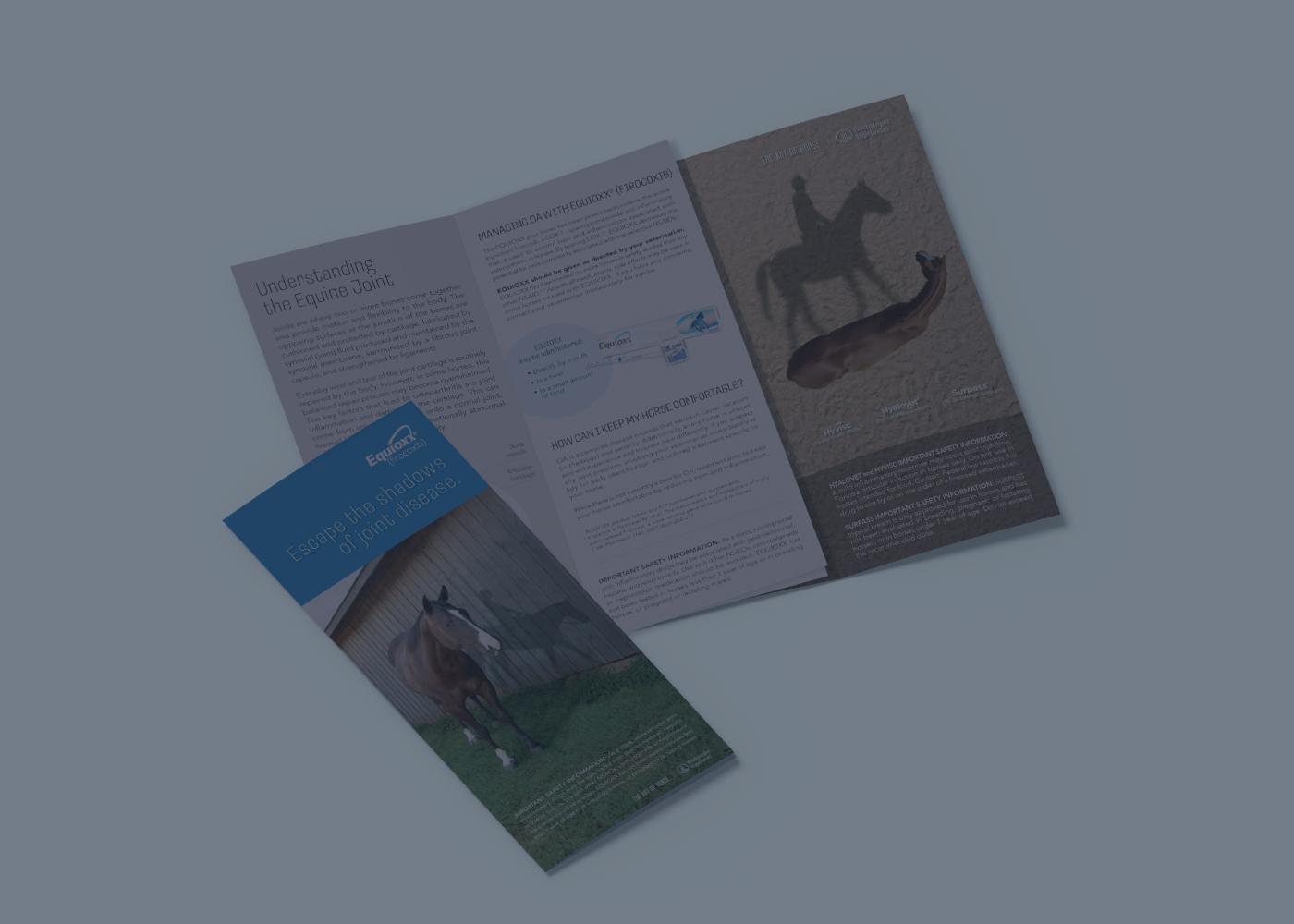 Horse owner Equioxx brochure