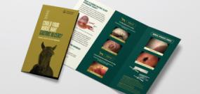 Pre Diagnosis Tri Fold Brochure