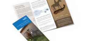 EQUIOXX Horse Owner Brochure