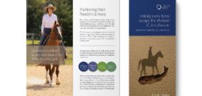 Horse owner lameness brochure. Download and share this horse owner's guide to lower limb lameness.