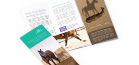 Legend Horse Owner brochure. Share how LEGEND helps synovitis in horses.