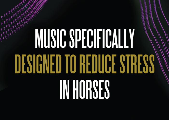 Music Specifically Designed to Reduce Stress In Horses