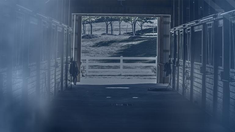 The Stable Life Header