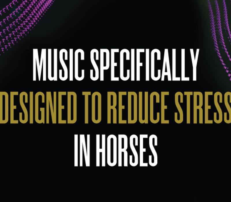 Music Specifically Designed to Reduce Stress In Horses