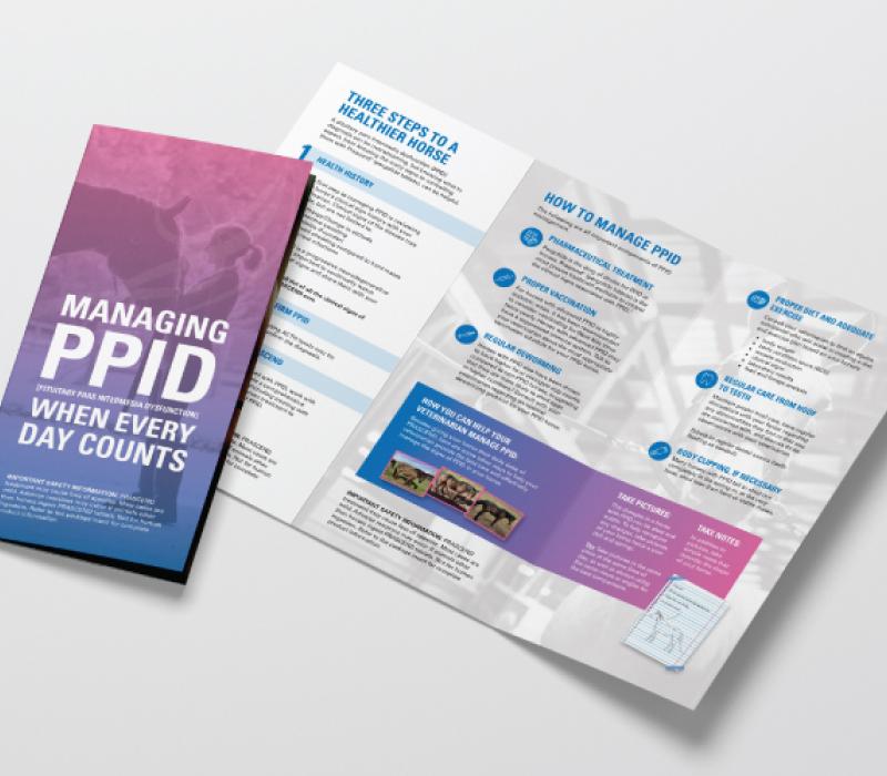 Managing PPID detailer
