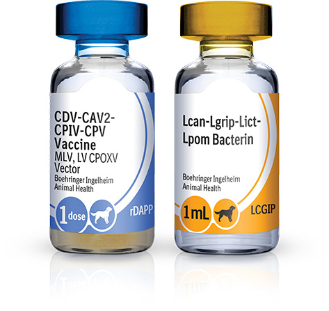 RECOMBITEK® Canine Vaccines from Boehringer Ingelheim