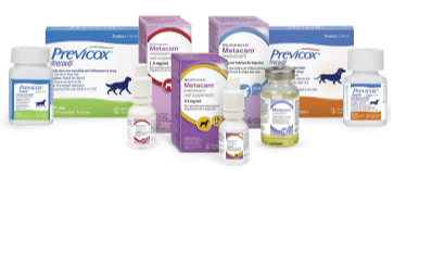 cheap meloxicam
