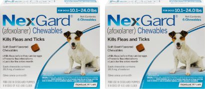 Two 6 dose packages of NexGard