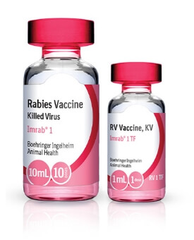 Image of IMRAB Rabies Vaccine Vials