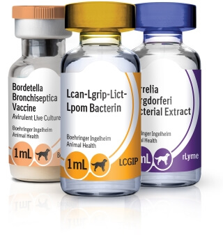 Image of RECOMBITEK Canine Vaccines