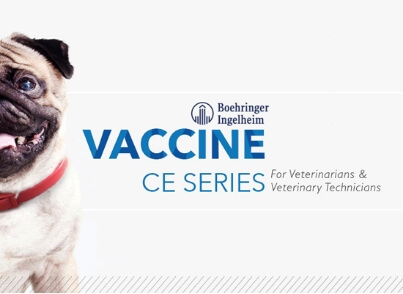 Placard for the Boehringer Ingelheim Vaccine Continuing Education Series
