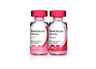 Image of IMRAB Rabies Vaccine Vials