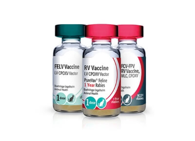 Image of PUREVAX Feline Vaccines