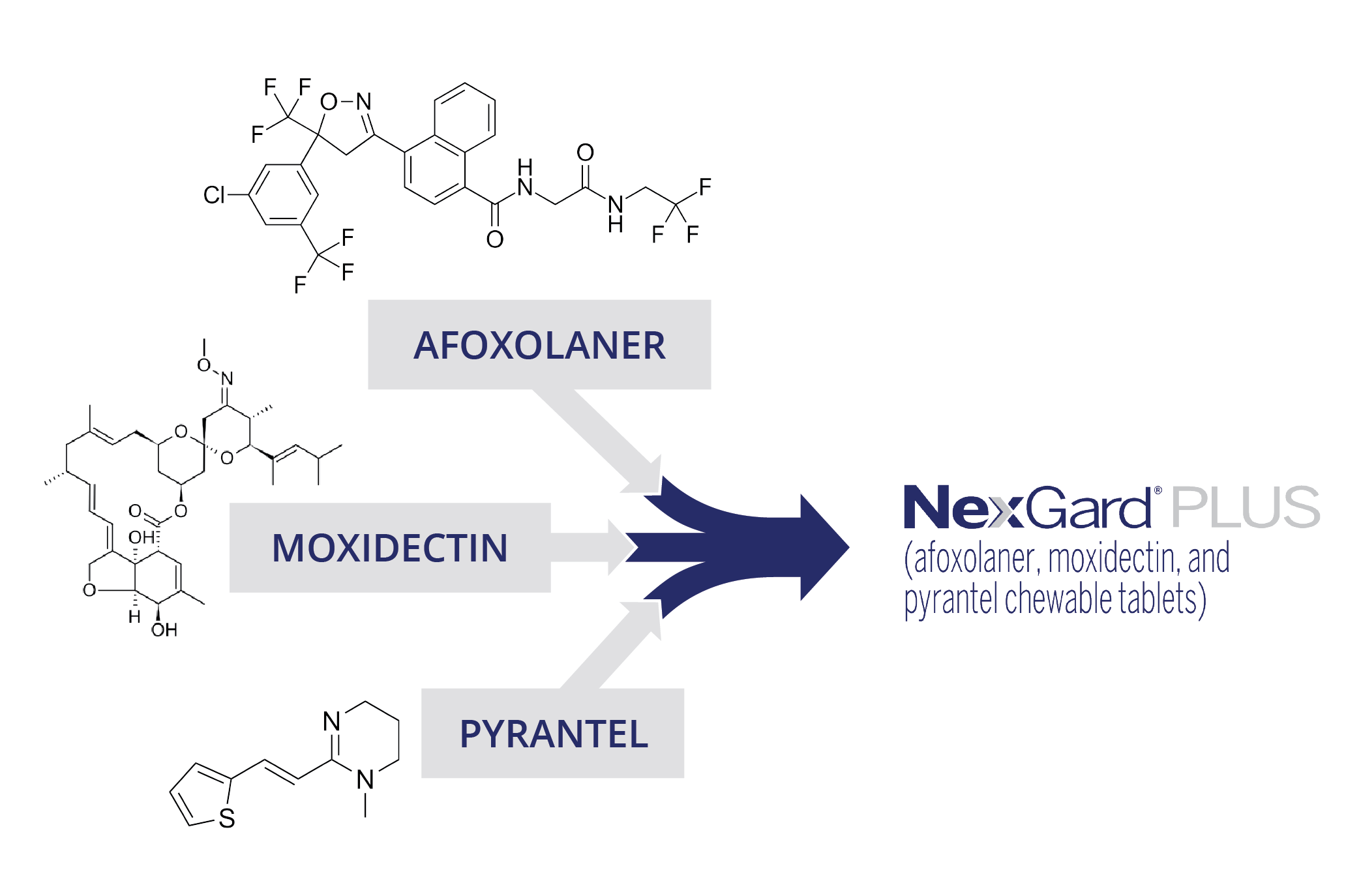 Image showing afoxolaner, moxidectin and pyrantel combining to create nexgard plus