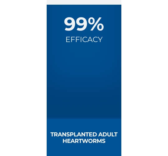 Bar graph showing 99% efficacy for transplanted adult heartworms