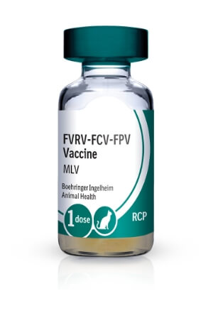 Vial of PUREVAX® Feline 3 (RCP)