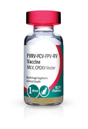 Vial of PUREVAX® Feline 3/Rabies  (RCP + rRabies-1YR)