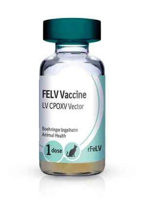 Vial of PUREVAX® Recombinant FeLV (rFeLV)