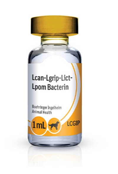 Bottle of RECOMBITEK® 4 Lepto (LCGIP)