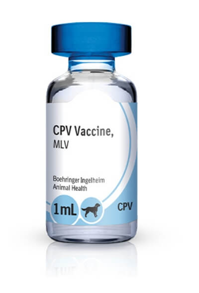 Bottle of RECOMBITEK® Canine Parvo (CPV)