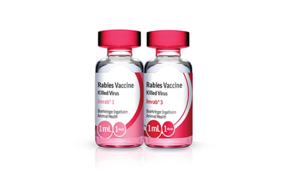 Bottles of IMRAB Vaccines