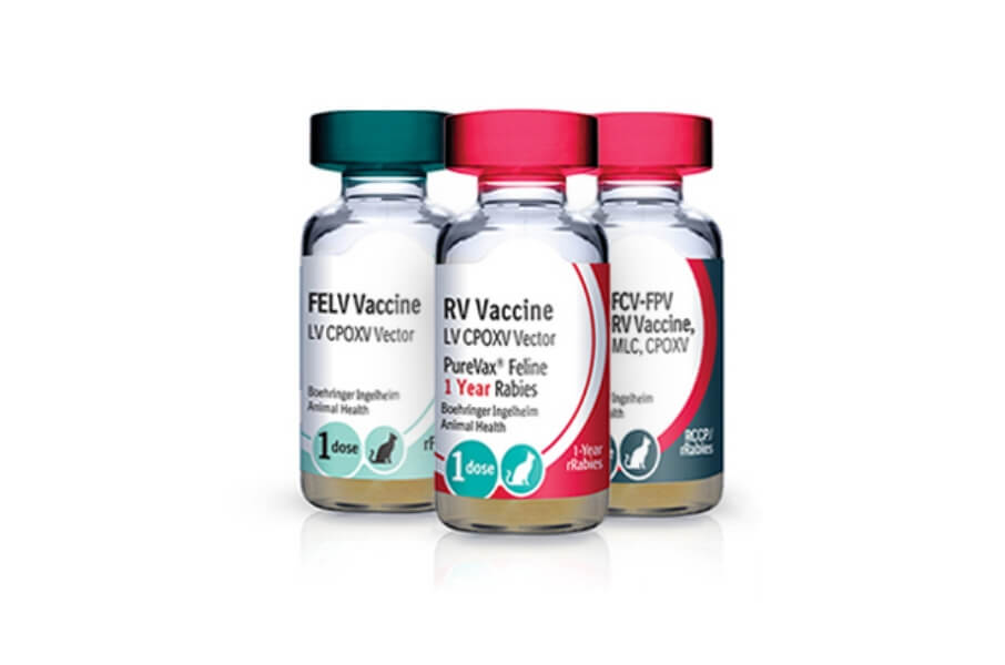 Bottles of PUREVAX vaccines