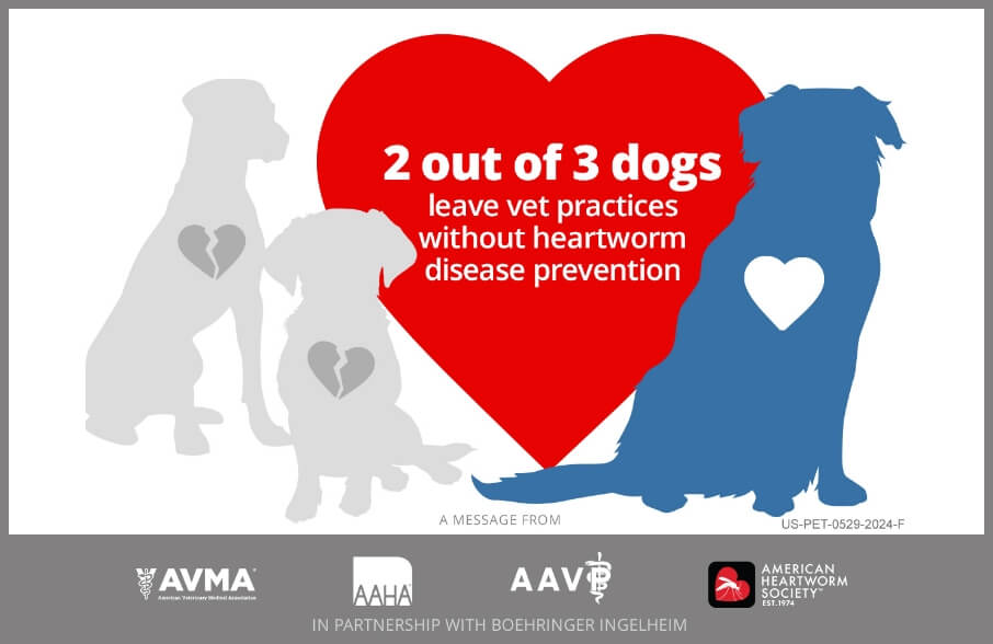 Image saying "2 out of 3 dogs leave vet practices without heartworm disease prevention"