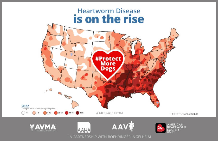 Image saying "Heartworm Disease is on the rise"