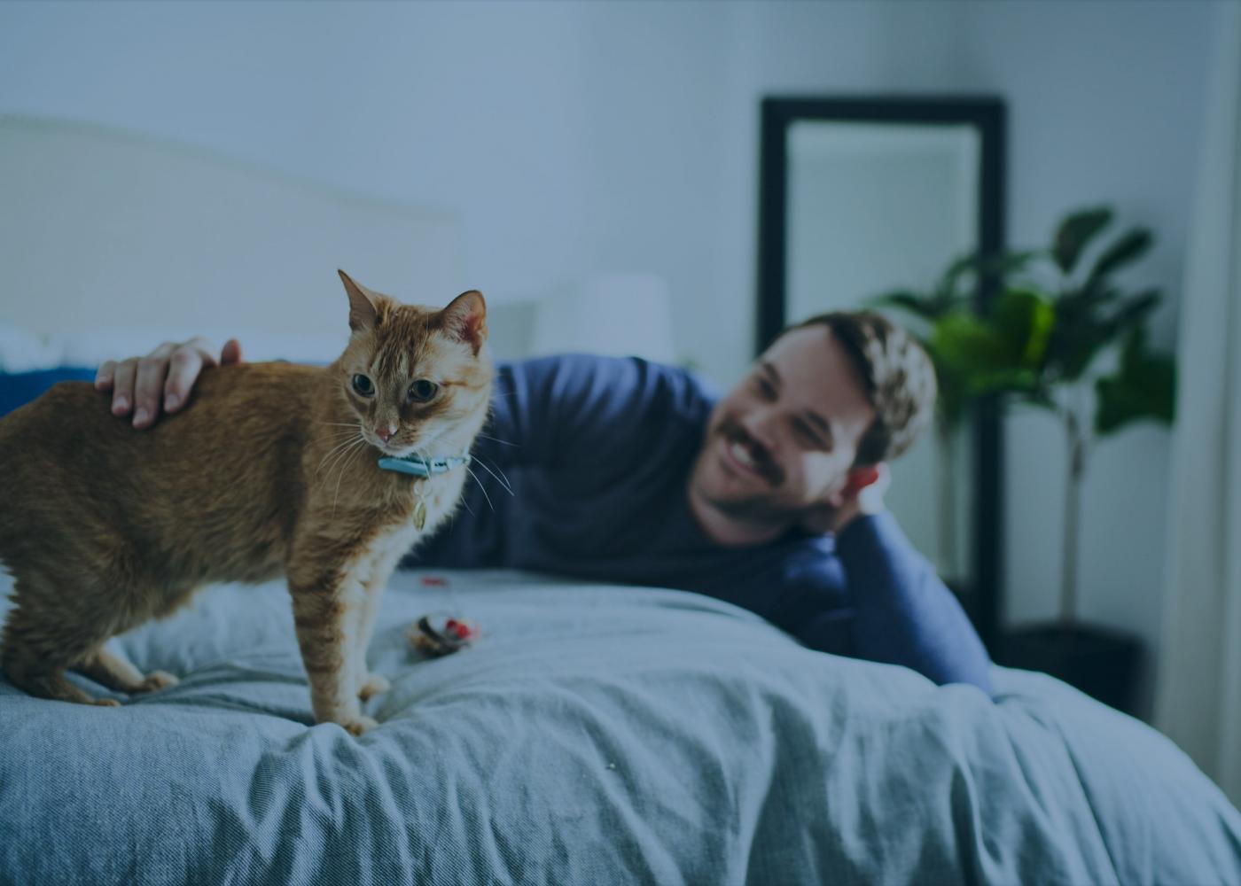 Man laying on bed petting orange tabby cat