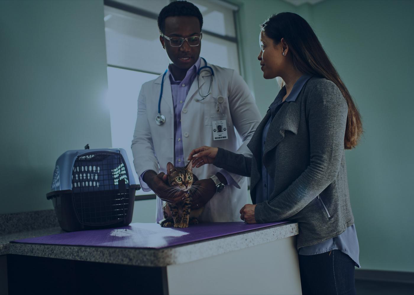 Male vet holding cat next to pet owner in clinic