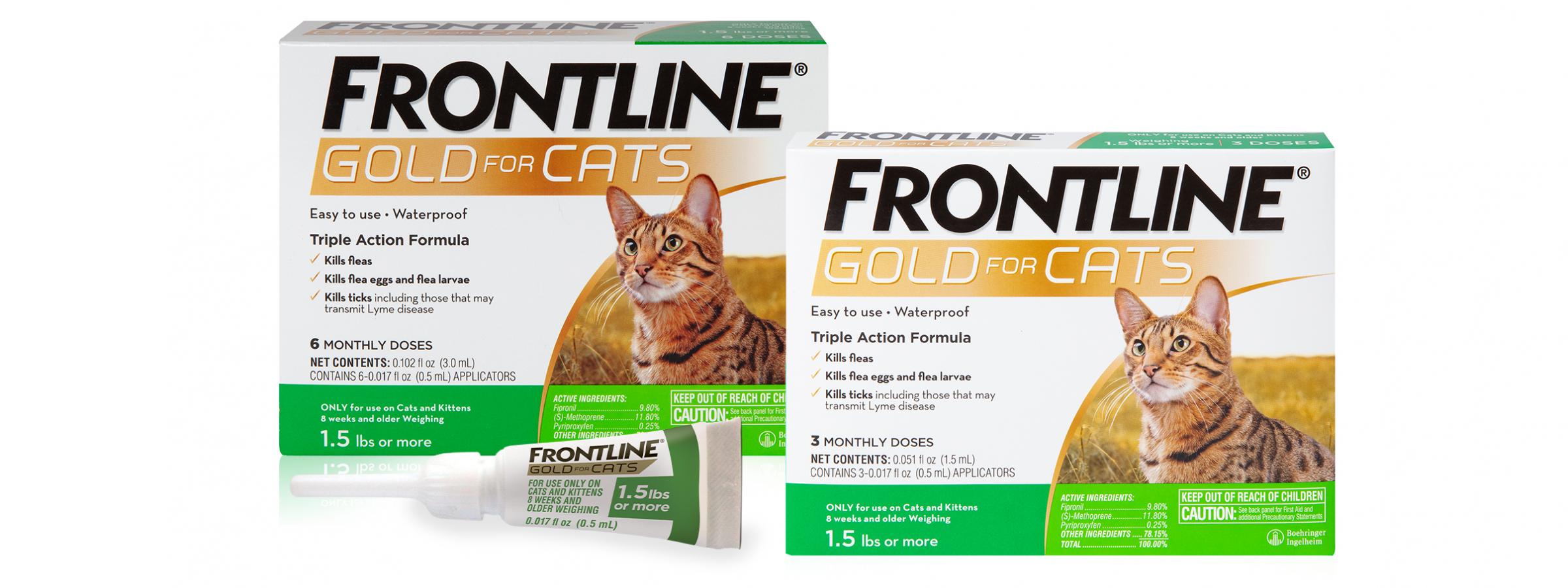 frontline-gold-for-cats