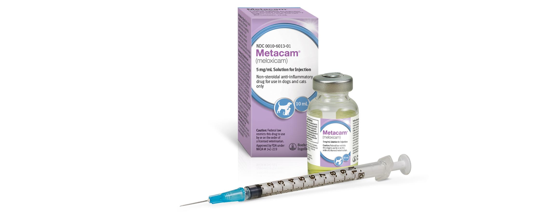 Metacam oral 2024 for cats