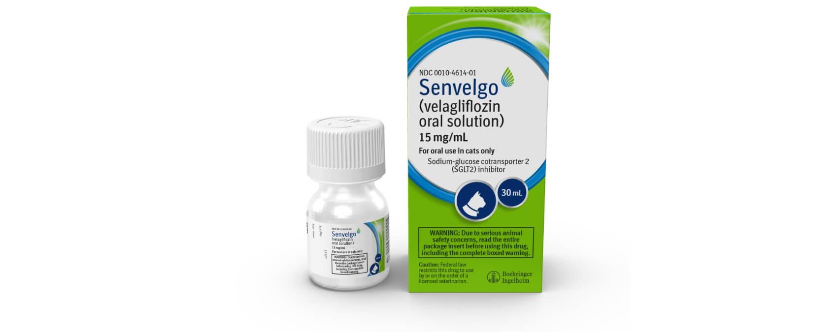 Feline Diabetes Medication: Essential Treatment Insights 2 Feline Diabetes Medication: Essential Treatment Insights