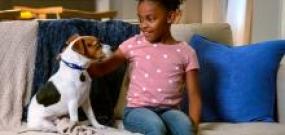 Little girl sitting on couch petting a Jack Russel