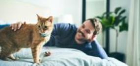 Man laying with orange cat on bed