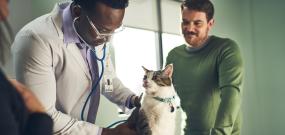 Sign Up To Stay Informed