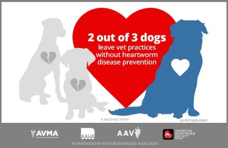 Image saying "2 out of 3 dogs leave vet practices without heartworm disease prevention"