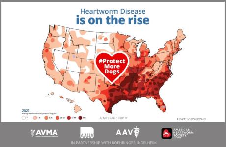 Image saying "Heartworm Disease is on the rise"