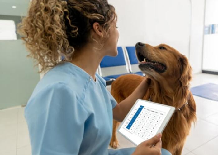 A vet pets a dog while holding a tablet showing a comparison chart of Tresaderm against other products
