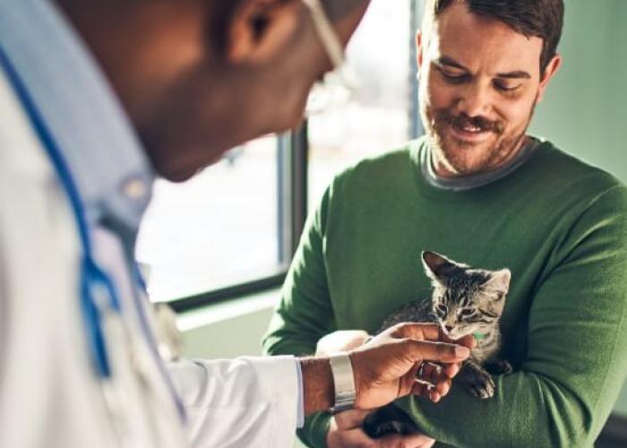 A client holds their kitten while the vet greets them