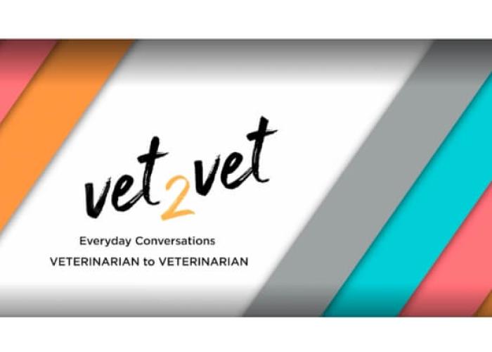 A title card reading "Vet to Vet, Everyday Conversations"