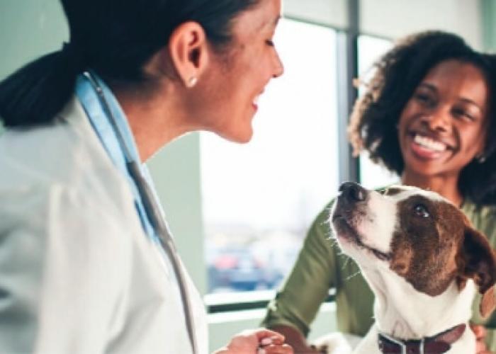 A vet, her client, and a good happy dog