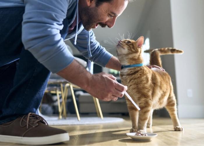 A man administers Senvelgo to his cat's food