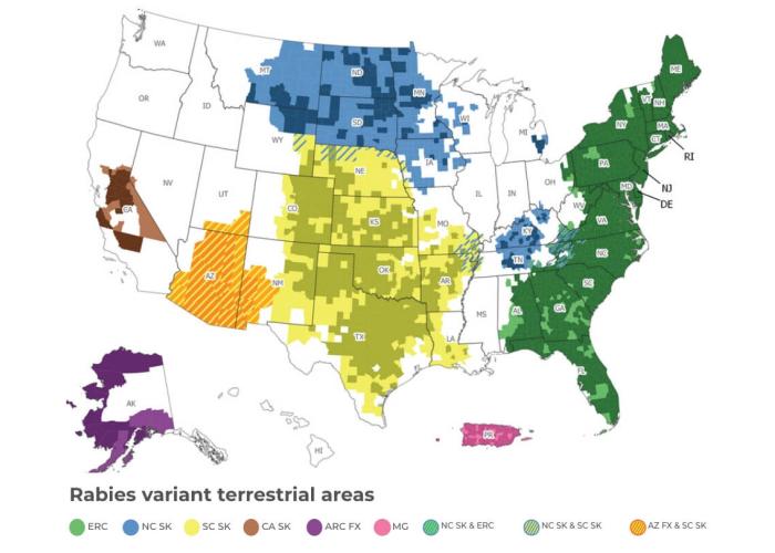 Map of rabies variant terrestrial areas in the United States