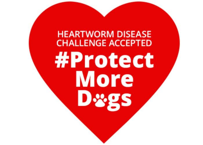 Image of a heart with the words "Heartworm Disease Challenge Accepted. #protectmoredogs"