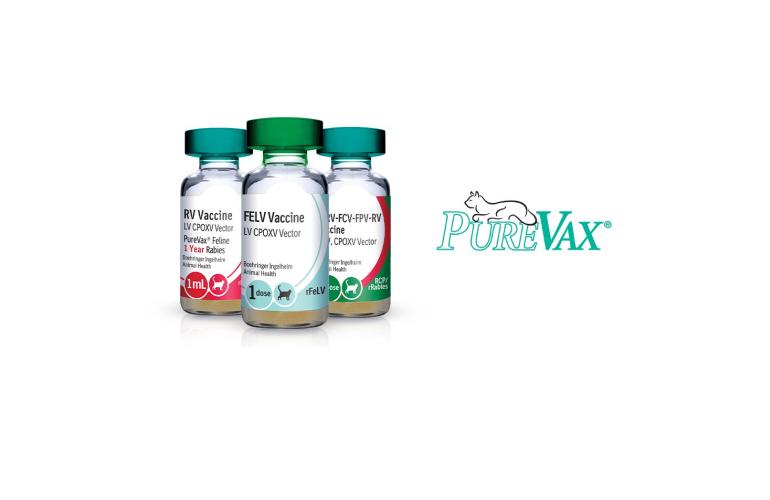 Purevax vaccine family