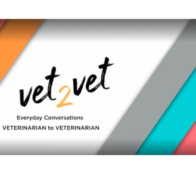 A title card reading "Vet to Vet, Everyday Conversations"