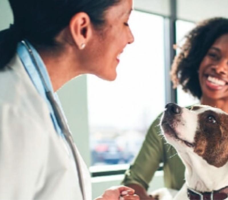 A vet, her client, and a good happy dog