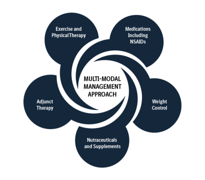 Graphic displaying the different facets of the multimodal approach: Exercise and Physical Therapy; Medications including NSAIDs; Weight Control; Nutraceuticals and Supplements; and Adjunct Therapy